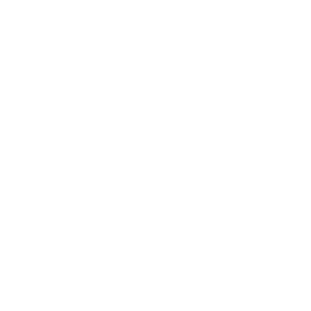 anthropic